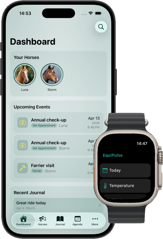 Equory on Apple Watch showing live horse heart rate and care reminders